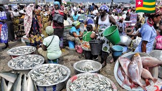 Buying and cooking delicious fish light soup and yam fufu in Togo west Africa 🌍