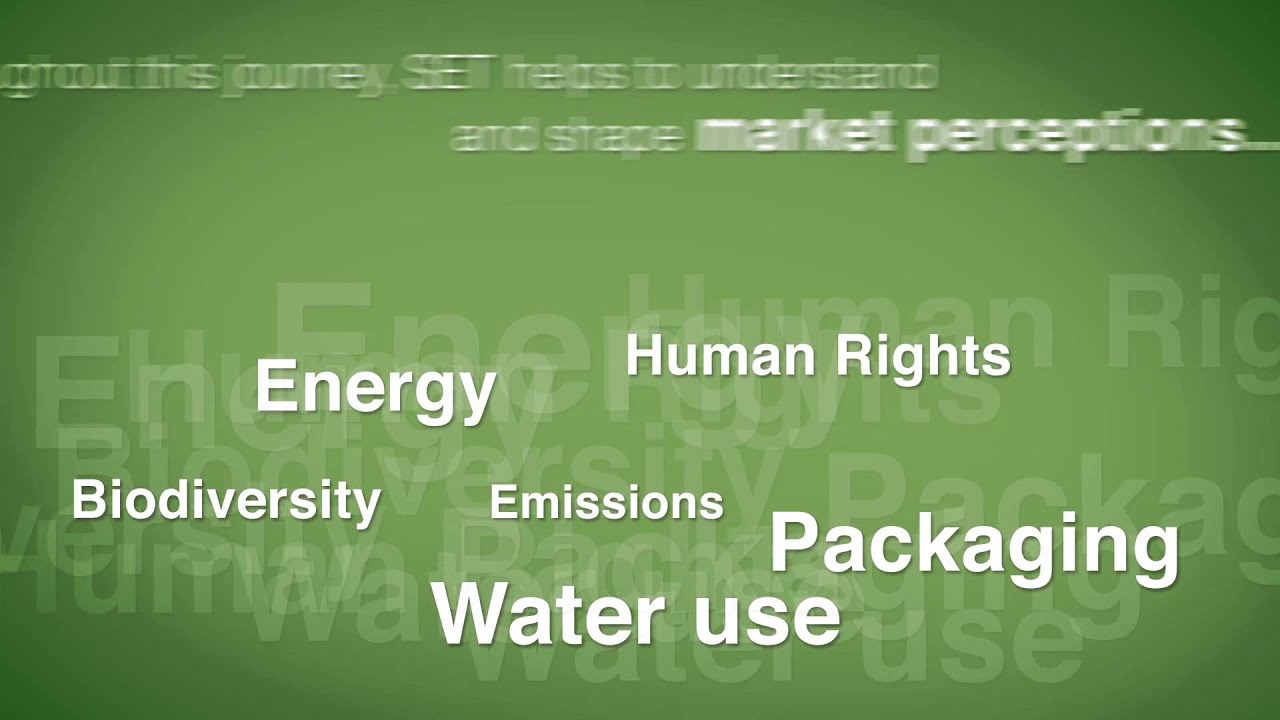 SET -- Applied Sustainability™ In The Consumer Goods Industry - A BASF ...