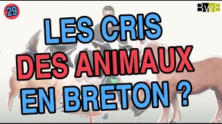 Les cris des animaux en breton - Brezhoneg Bemdez n°29