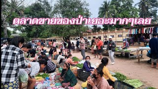 ตลาดนัดเขตชนบทมีแต่อาหารป่าทาง ส ปป ลาว/ຕະຫລາດນັດເຂດຊົນນະບົດມີຂາຍແຕ່ຂອງປ່າ