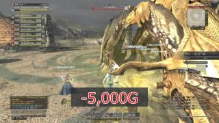 シールドセージでゴルゴラン ― 1ガード5,000G - Dragon's Dogma Online #DDON