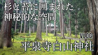 Vlog：平泉寺白山神社・福井観光・神秘的なパワースポット【Heisenji-Hakusan jinjya（Shrine）Moss Temple, Fukui,Japan】