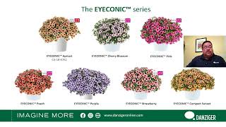 The “New Varieties and Core Crops” webinar - Full recording