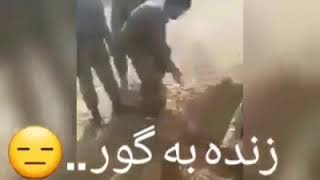 زنده به گور ..