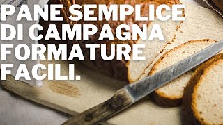 La formatura del pane. Impasto campagnolo facile per il pane di tutti i giorni