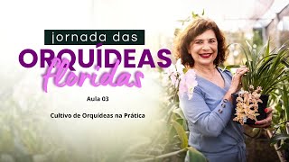 Jornada das Orquídeas Floridas - Aula 03