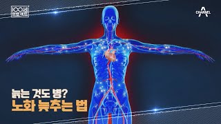 [교양] 100세 프로젝트 135회_240324_늙는 것도 병? 노화 늦추는 법