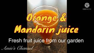 How to Make a Healthy drink ? Orange \u0026 Mandarin juice