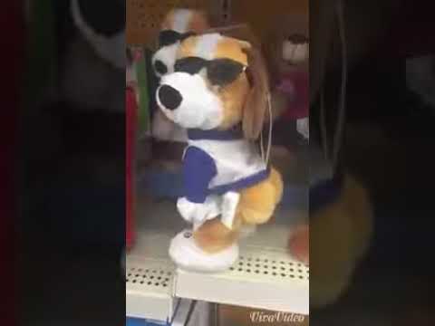 El Perro Que Baila - YouTube