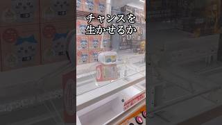 【ちいかわ】クレーンゲームでハチワレのカメラ型ライトが欲しい！【ちい活vlog】#shorts #short #ちいかわ