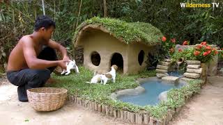 Primitive technology puppy House rescue abandoned puppies building mud House dog and fish