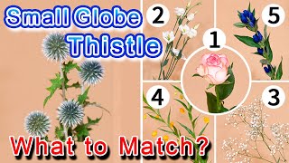 What Can We Pair With the Small Globe Thistle?