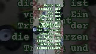 #davutunterwegs-#food #lustig#was zum Lachen in Miniatur#gedicht