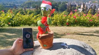 Dancing Cactus Toy Review 2021 - Best Christmas Gift