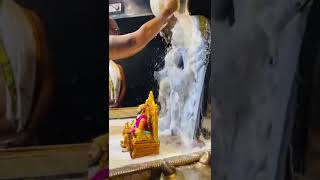 Aai Tulja Bhavani cha Abhishek pooja #shorts #youtubeshorts#tuljapur