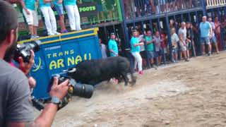 Sustos en la salida de toro cerril ganadería oliveira Burriana (Castellón)