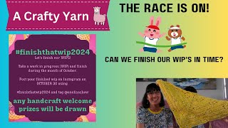 THE RACE IS ON - Can We Finish Our Crochet WIP's In Time? - #finishthatwip2024