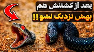 10 حیوانی که بعد از مردن زنده میمانند