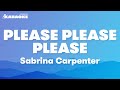 Sabrina Carpenter - Please Please Please (Karaoke Version)