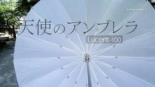 【使える機材】天使のアンブレラ Lucent-100（透過傘）