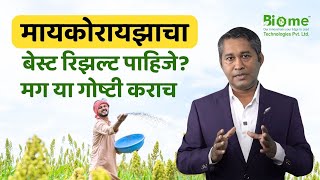 मायकोरायझाचा Best Result कसा मिळवायचा | Benefits of Mycorrhiza | जैविक शेती | Biome Technologies