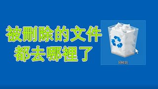 回收站裡面的垃圾，都去哪裡了呢？被刪除的文件都被怎麼樣處理了呢？#科普#科普長知識 #手機 #技術 #knowledge #知識 #梨香半點墨#重量#有趣的視頻#生活