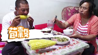 【泥土大黑】大黑在飯桌上和媳婦爭論啥？一盤水煮白蘿蔔配玉米，大黑啃得真乾净