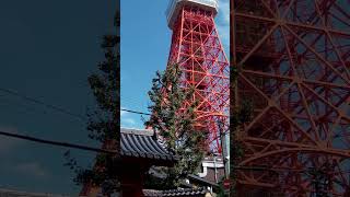 忘れられた日本　金運を強力に引き寄せる芝公園の蛇塚さま　と　その蛇神様を祀る　#shorts