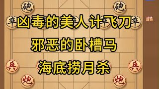 中国象棋： 象棋，凶毒的美人计飞刀，邪恶的卧槽马，海底捞月杀。 象棋