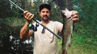 Sight Casting Rainbow Trout at Mudgee NSW