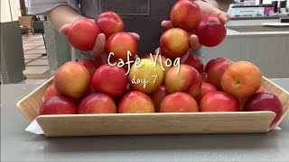 cafe vlog #7 / 새콤달콤 상큼한 자두 🍑🍑