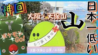 【犬とお出かけ】日本一低い山！大阪・天保山を愛犬トルテと登山？聖地として有名な天保山公園でポケモンGOしたら色違い捕獲の神回になった★（トイプードルのTorte channel)