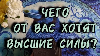 😇Чего от вас ждут Высшие Силы?