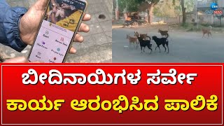 STREET DOG || ಬೀದಿ ನಾಯಿ ಸಮೀಕ್ಷೆಗೆ 15 ಮೇಲ್ವಿಚಾರಕ ನೇಮಕ..! || ZEE KANNADA NEWS