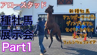 【種牡馬展示会】アロースタッド編 Part1 ダノンプレミアムなど注目の新種牡馬5頭のお披露目