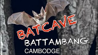 HD-BATS CAVE / BATTAMBANG (CAMBODGE)