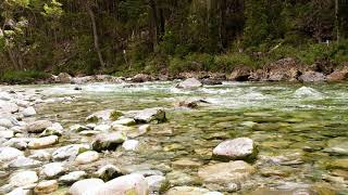 Flowing Water 💦 El Bolson PATAGONIA 🏞 Water Sounds 🙏🏿 River Sound 💦 Nature Sounds