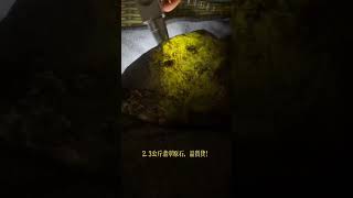 2.3公斤的翡翠原石，这样的品质该做何评价？？？天然缅甸翡翠原石#中缅边境#翡翠原石直播#Jade#玉石#