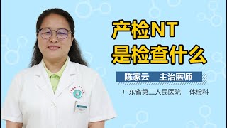 产检NT是检查什么 有来医生