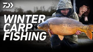 MEGA ST JOHNS HIT | Winter Carp Fishing at Linear Fisheries | Blaise Price | Daiwa Carp