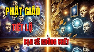 Phật Giáo Tiết Lộ Bạn Chưa Từng Được Sinh Ra, Bạn là Ai? Không Sinh Không Diệt | Phật Dậy, Tâm Từ Bi