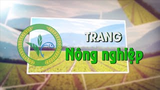 [CM] Trang nông nghiệp (16.12.2020) | Truyền Hình Quảng Trị