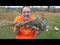 foraging for fall decor using dried grass u0026 flowers flower hill farm