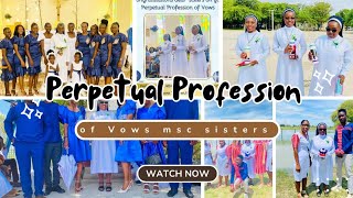 PERPETUAL PROFESSION OF VOWS  || MSC SISTERS