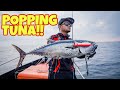 Popping Tuna Kapal Karam | Pengumuman Subscriber bertuah Aug 2020