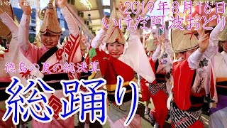 【総踊り】2019徳島夏の総決算　いけだ阿波おどり　 西部阿波おどり観光協会（若阿友連・吉野連・もみじ連・さつき連・みのだ連・とうりゃんせ・阿波池田ゑびす連）駅前通り20190816awaodori