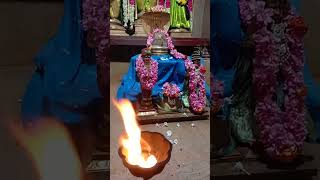 கைலாசம் புதுவை ஆதீனம். குரு வாரம் ஆராதனை....... #shorts #kailasa #godshivalingam.