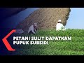 Petani Sorong Keluhkan Sulit Dapatkan Pupuk Subsidi