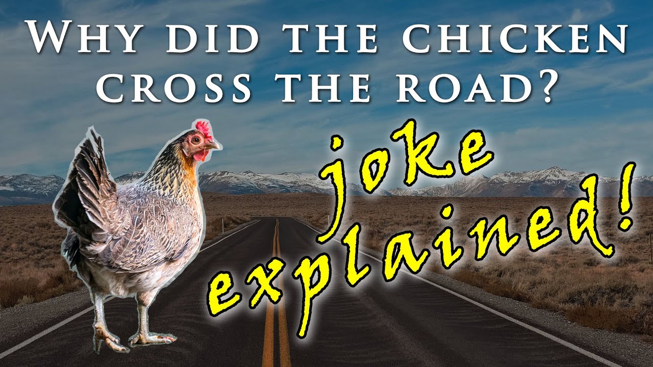 Why Did The Chicken Cross The Road? Joke Explained In Slow, Easy ...