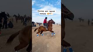 Атты танығандар бар ма #рекомендации #kokpar #horse #сезон24